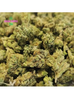 Small Bud G13