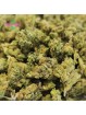 Small Bud G13