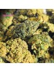 Fleur APPLE Friter Cali