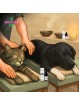 Huile Animaux 10% Chanvre Arôme Poulet ZENiMO+