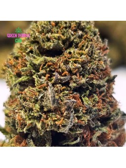Fleur Chem Dogg 91