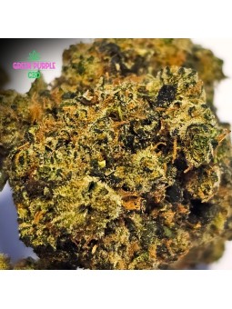 FLEUR AMNESIA US