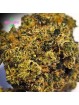 FLEUR AMNESIA US
