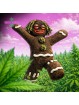 Résine GMO COOKIES 🍪