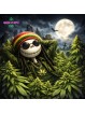 Fleur Jack Haze