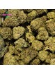 Fleur Jack Haze