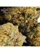 Mix CBD Exclu Internet NOUVEAU !