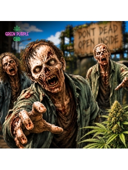 Fleur Zombie Kush 🧟
