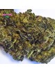 Fleur Zombie Kush 🧟