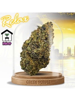 Fleur Zombie Kush 🧟