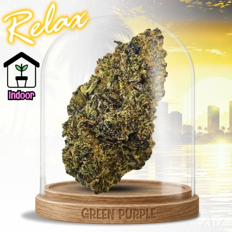 Fleur Zombie Kush 🧟