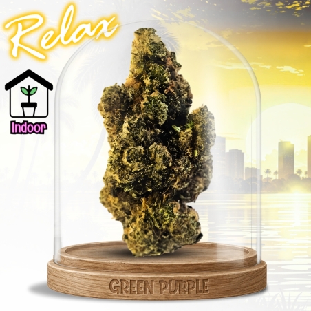 FLEUR AMNESIA US