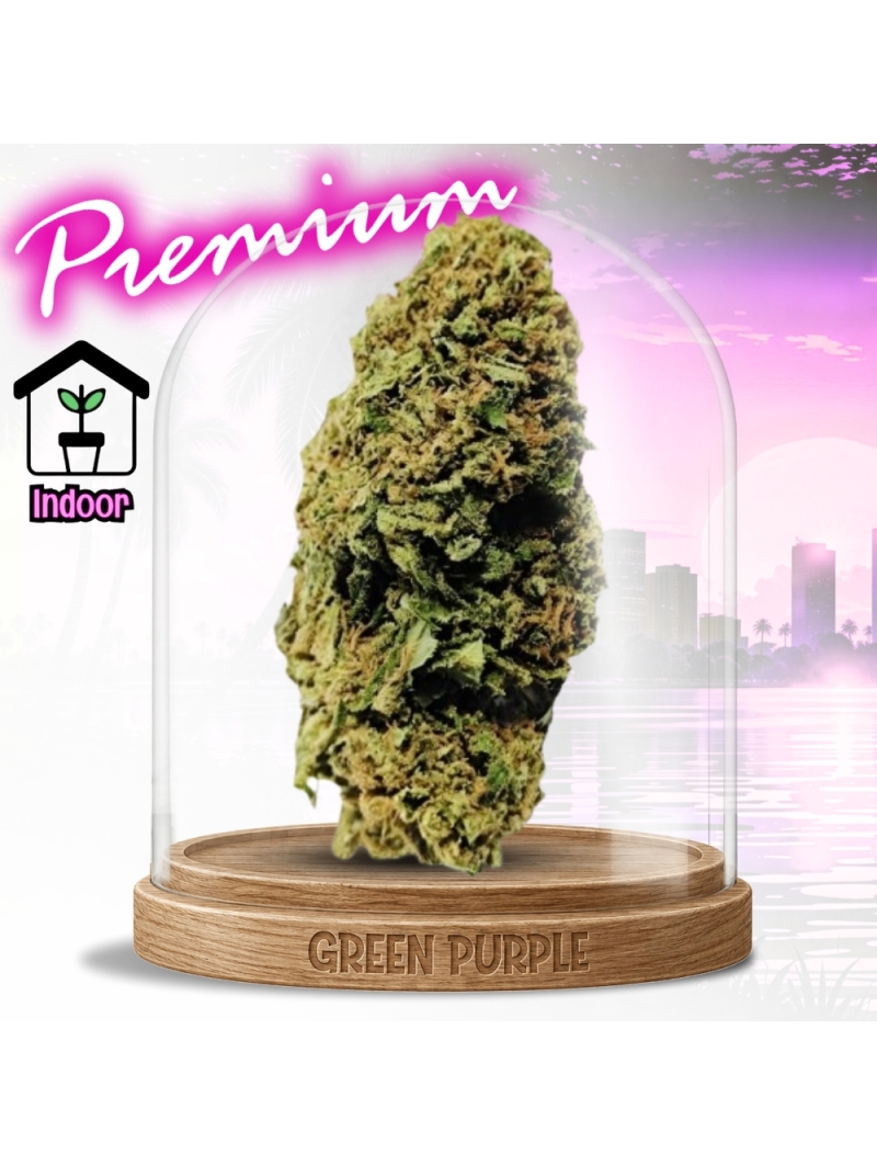 PROMOTION Fleur Florida Og CBD