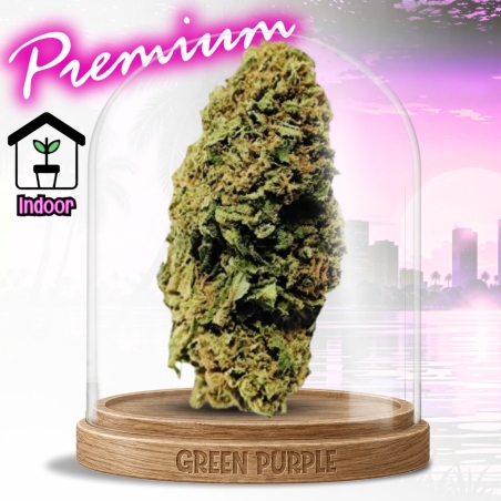 PROMOTION Fleur Florida Og CBD