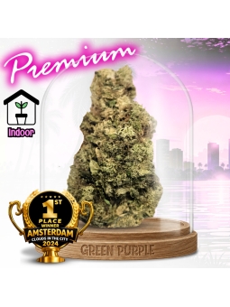 Fleur Mela Sour 🏆 Gagnante Amsterdam 2024