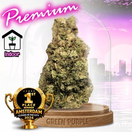 Fleur Mela Sour 🏆 Gagnante Amsterdam 2024