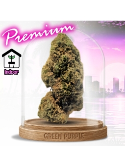 Fleur Blueberry Muffin CBD