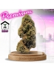 Fleur Blueberry Muffin CBD