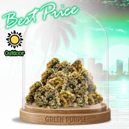 Small Bud PREMIUM G13 HAZE