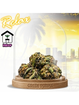Small Bud Green Spoon 🥄 EXCLU INTERNET