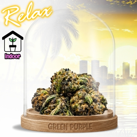Small Bud Green Spoon 🥄 EXCLU INTERNET