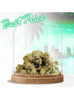Small bud Bubble-Gum