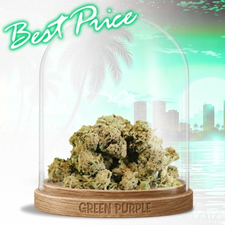 Small bud Bubble-Gum