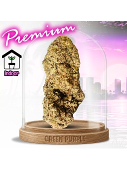 PROMOTION Fleur Lemon Pop CBD