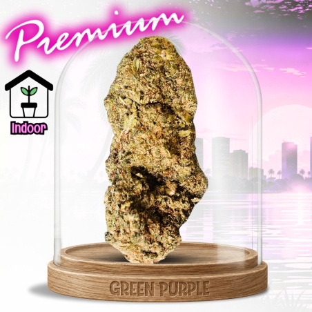 PROMOTION Fleur Lemon Pop CBD