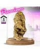 PROMOTION Fleur Lemon Pop CBD