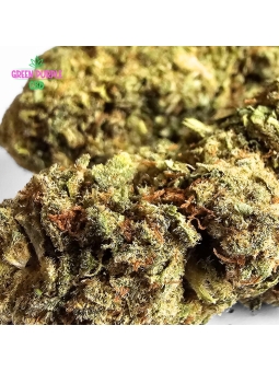 PROMOTION Fleur Lemon Pop 🍋 CBD