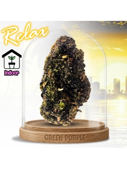 Fleur Mango Purple