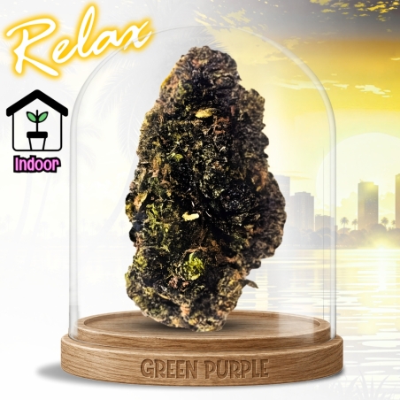 Fleur Mango Purple