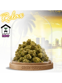 Fleur Juicy Fruit Small Bud