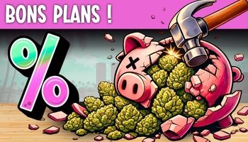 BONS PLANS !